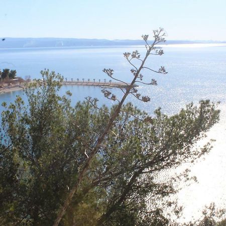 Paradise Apartment With Big Sunny Terrace In The Old Town, Few Meters From The Sea & Riva Promenade Σπλιτ Εξωτερικό φωτογραφία